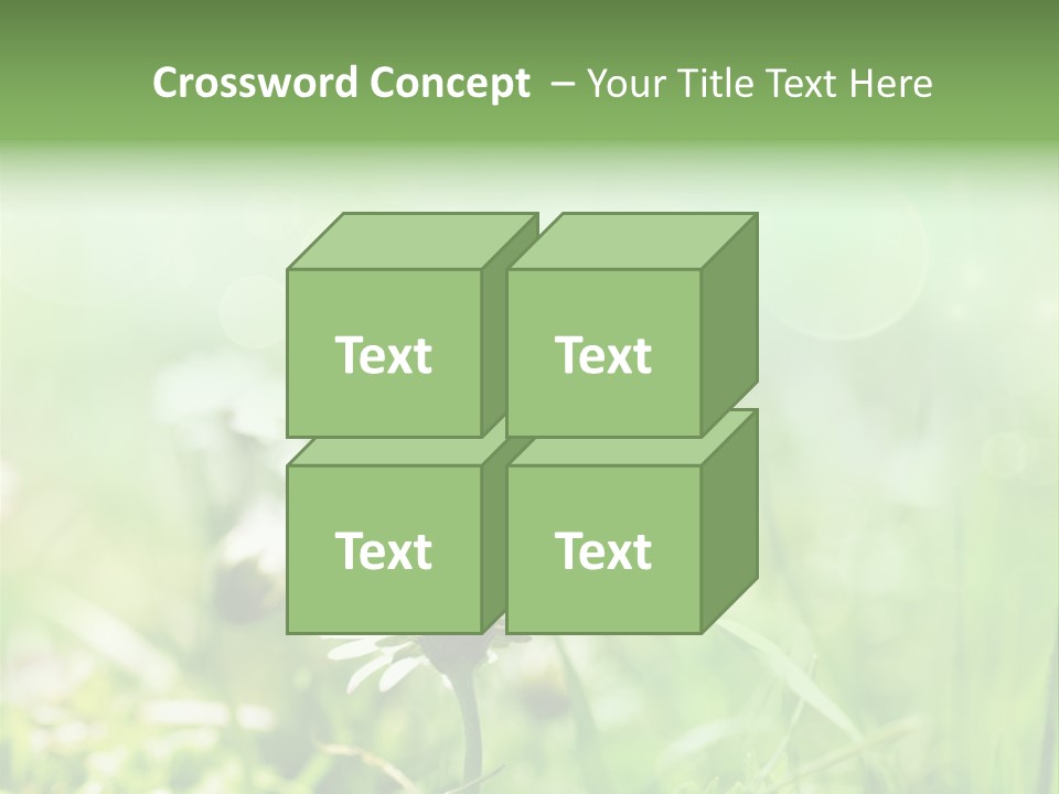 Leaf Daisy Season PowerPoint Template