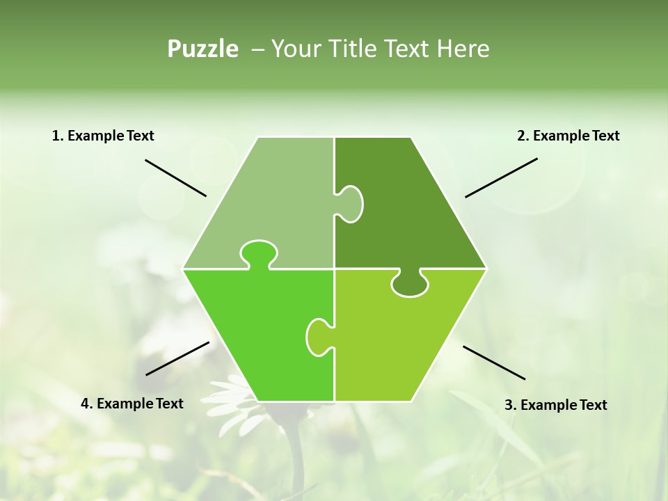 Leaf Daisy Season PowerPoint Template