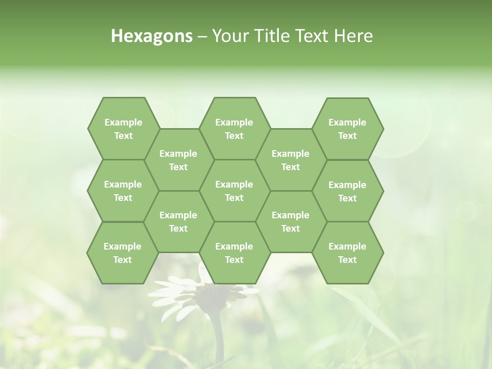 Leaf Daisy Season PowerPoint Template