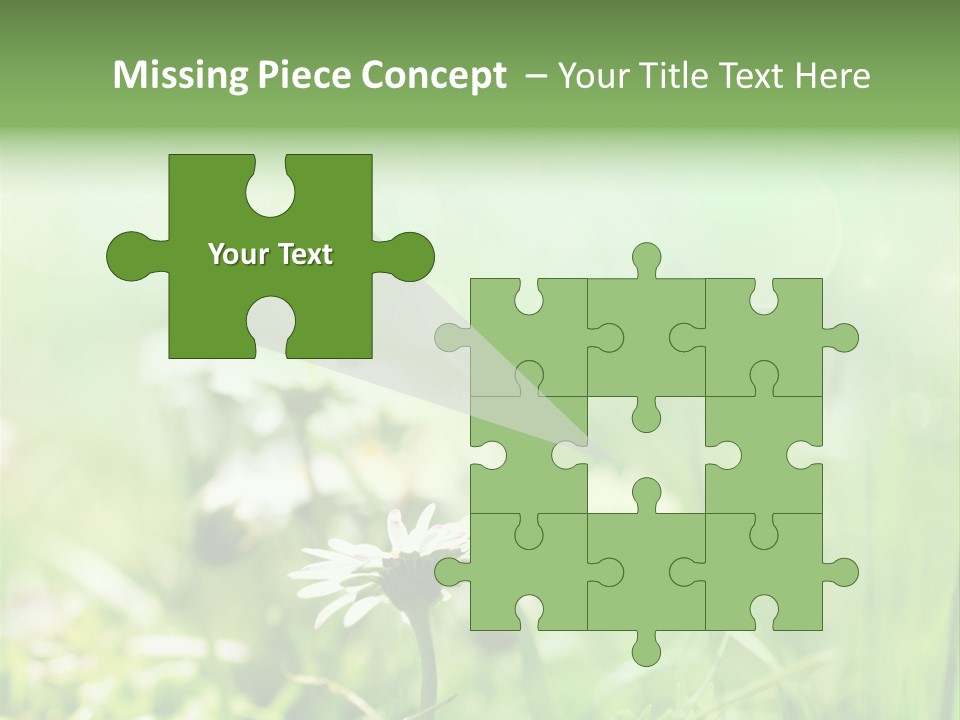 Leaf Daisy Season PowerPoint Template