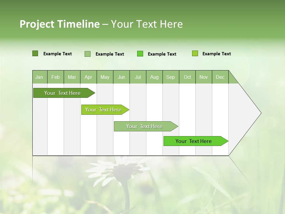 Leaf Daisy Season PowerPoint Template