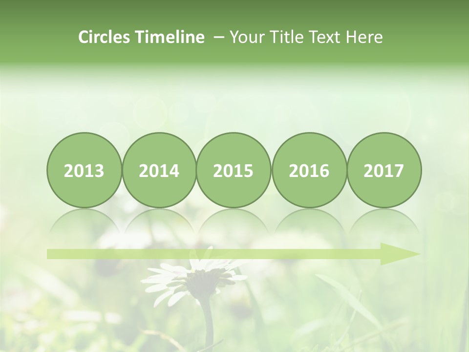 Leaf Daisy Season PowerPoint Template