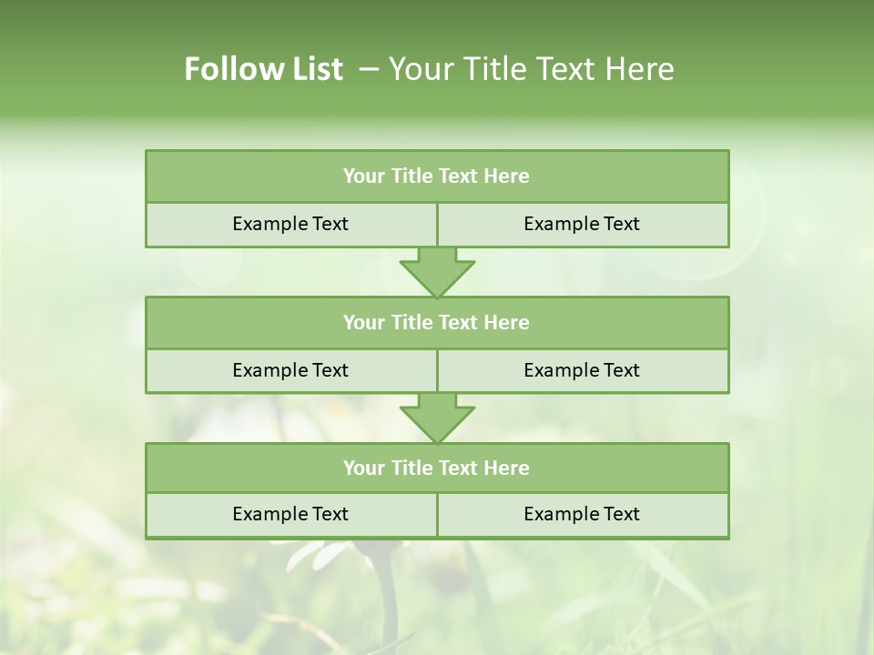Leaf Daisy Season PowerPoint Template
