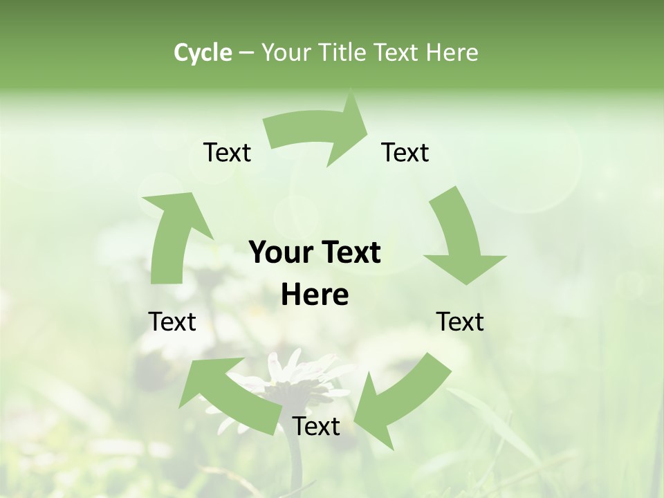 Leaf Daisy Season PowerPoint Template