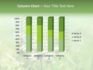 Leaf Daisy Season PowerPoint Template