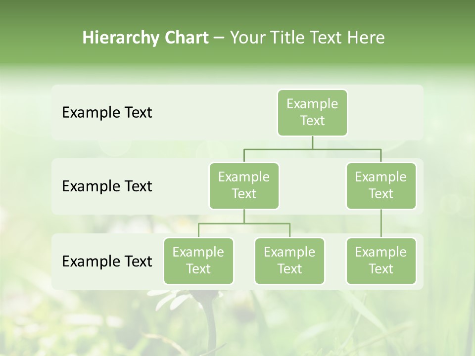 Leaf Daisy Season PowerPoint Template