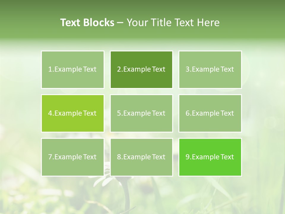 Leaf Daisy Season PowerPoint Template