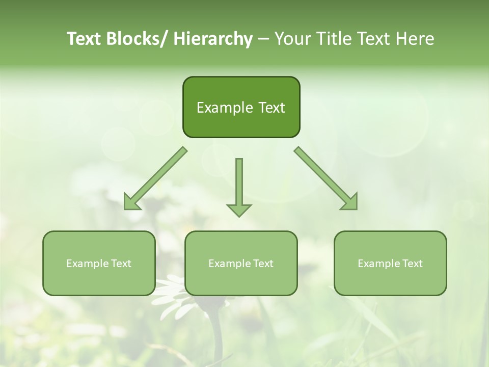 Leaf Daisy Season PowerPoint Template