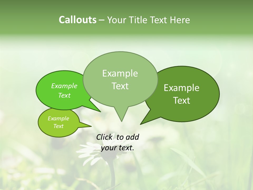 Leaf Daisy Season PowerPoint Template