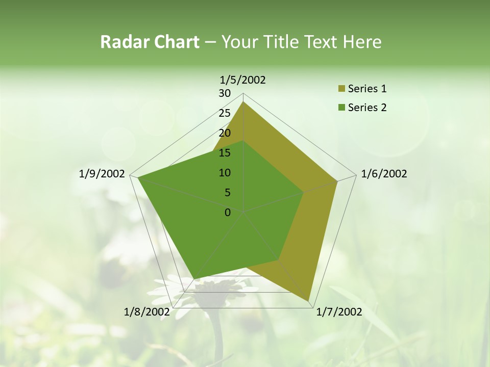 Leaf Daisy Season PowerPoint Template