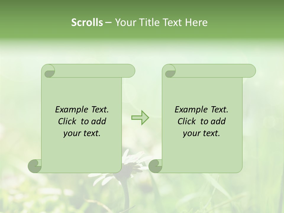 Leaf Daisy Season PowerPoint Template