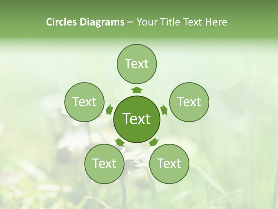 Leaf Daisy Season PowerPoint Template