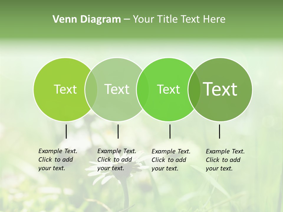 Leaf Daisy Season PowerPoint Template