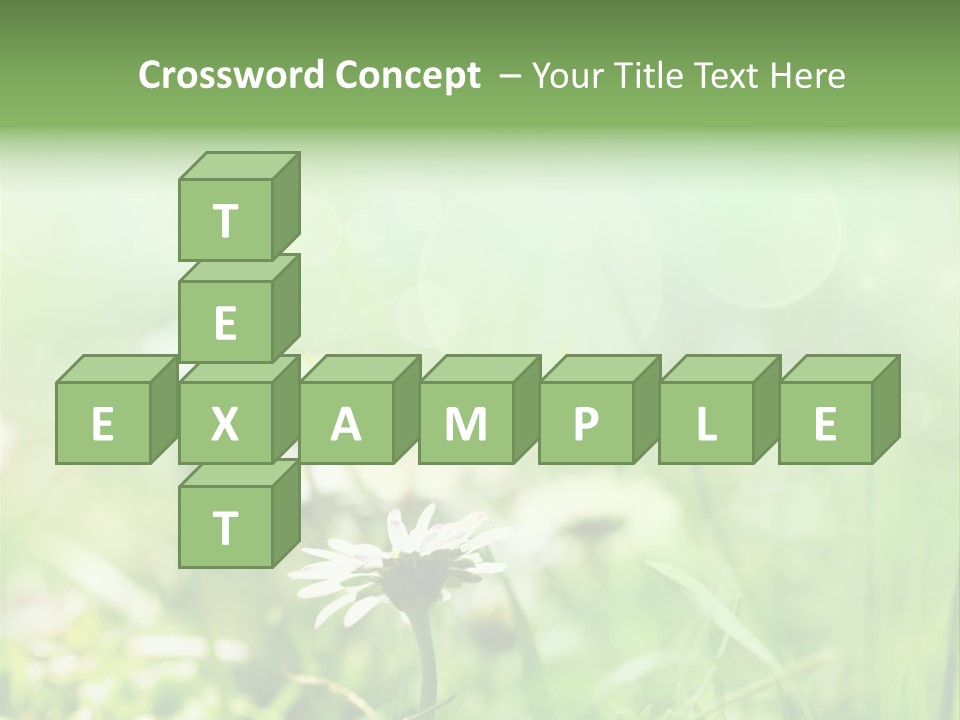 Leaf Daisy Season PowerPoint Template