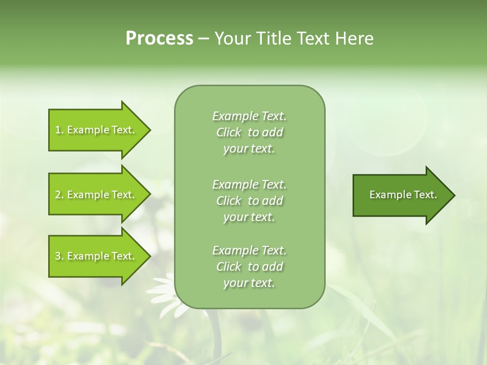 Leaf Daisy Season PowerPoint Template