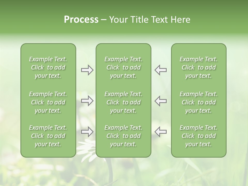 Leaf Daisy Season PowerPoint Template