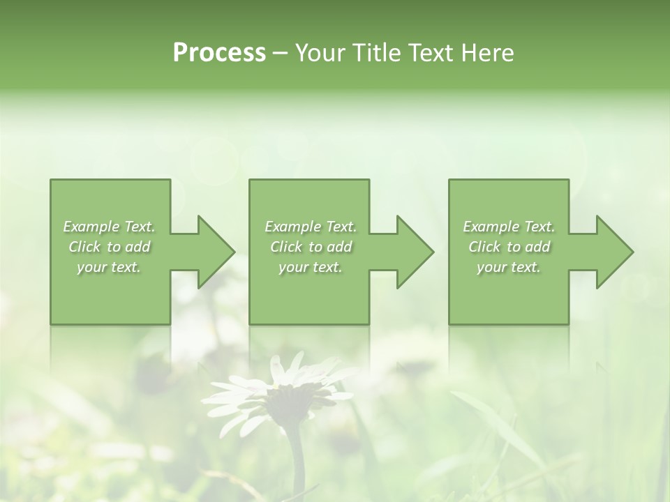 Leaf Daisy Season PowerPoint Template