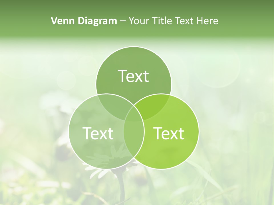 Leaf Daisy Season PowerPoint Template