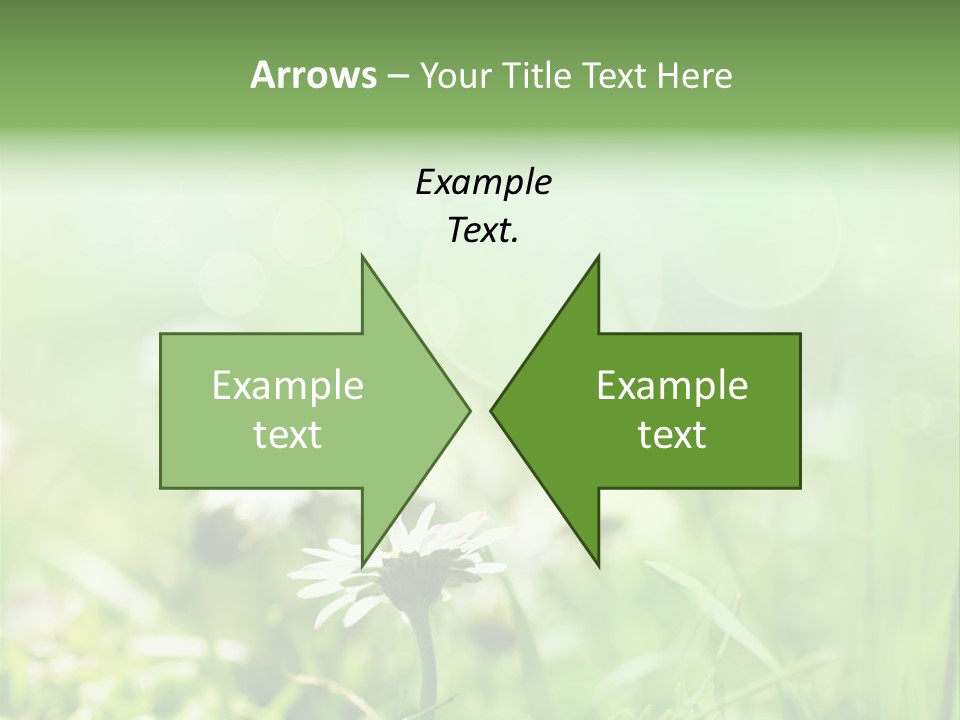 Leaf Daisy Season PowerPoint Template