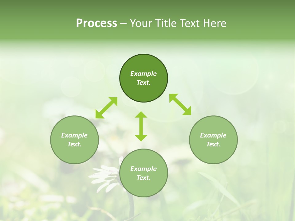 Leaf Daisy Season PowerPoint Template