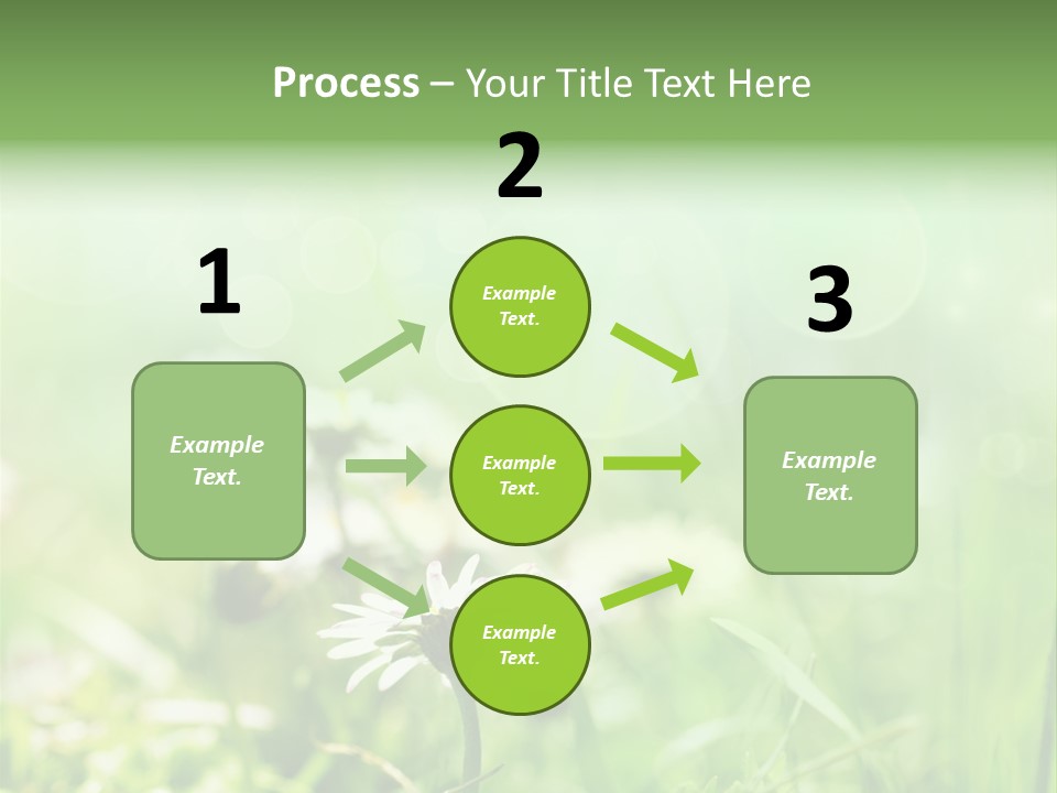 Leaf Daisy Season PowerPoint Template