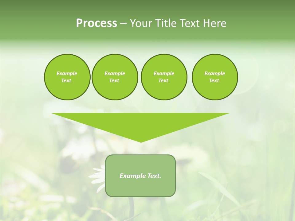 Leaf Daisy Season PowerPoint Template