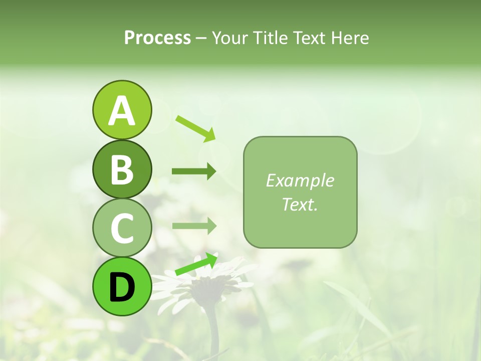 Leaf Daisy Season PowerPoint Template