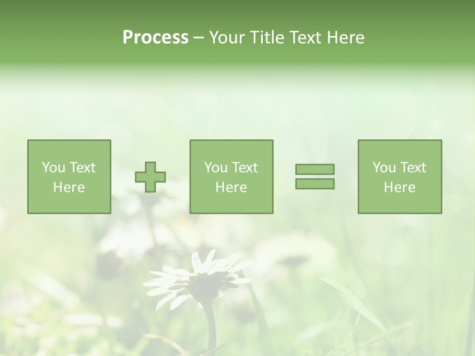 Leaf Daisy Season PowerPoint Template