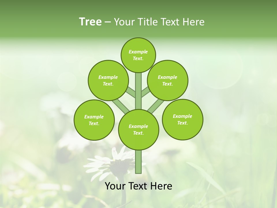 Leaf Daisy Season PowerPoint Template