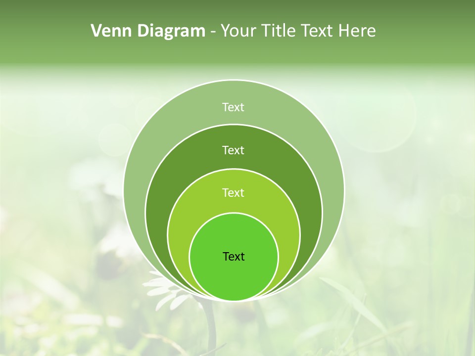 Leaf Daisy Season PowerPoint Template