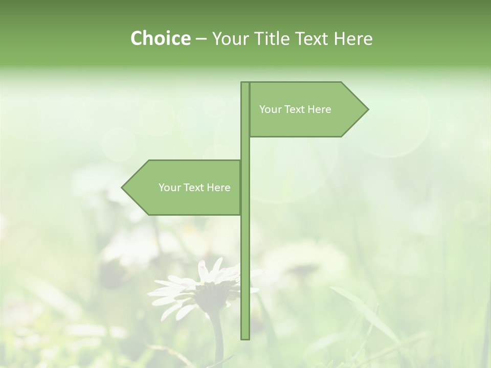 Leaf Daisy Season PowerPoint Template