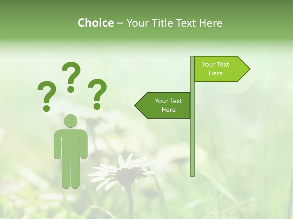 Leaf Daisy Season PowerPoint Template