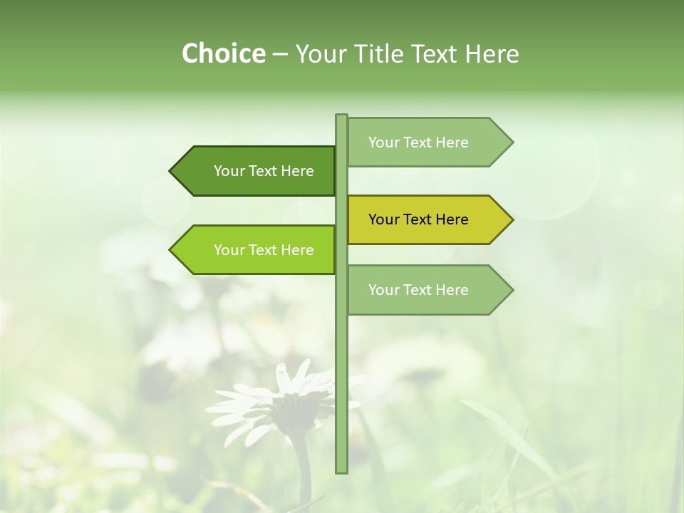 Leaf Daisy Season PowerPoint Template