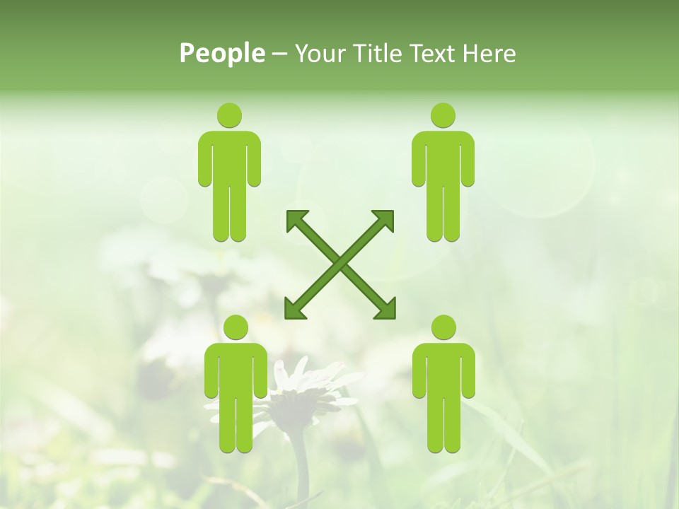 Leaf Daisy Season PowerPoint Template