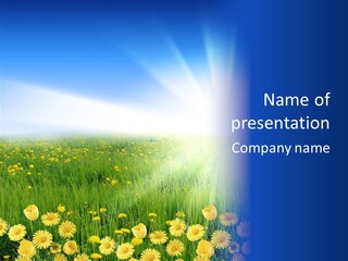 Wrapped Mystery Human PowerPoint Template