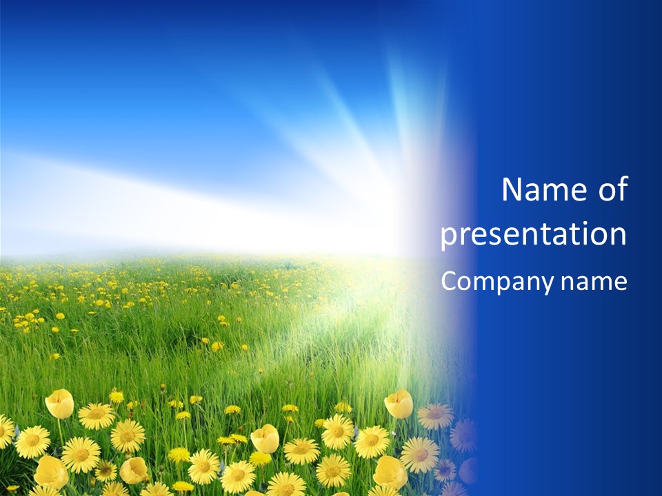 Wrapped Mystery Human PowerPoint Template