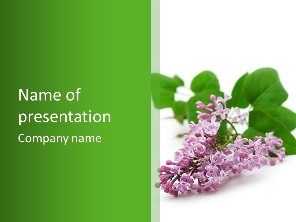 White Fragrant Transparent PowerPoint Template