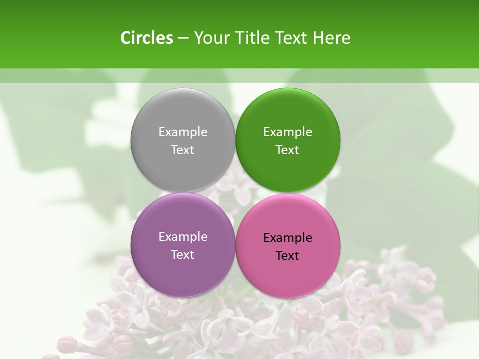 White Fragrant Transparent PowerPoint Template