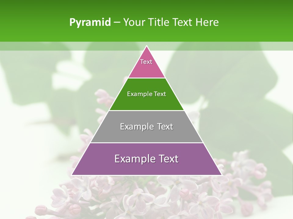 White Fragrant Transparent PowerPoint Template