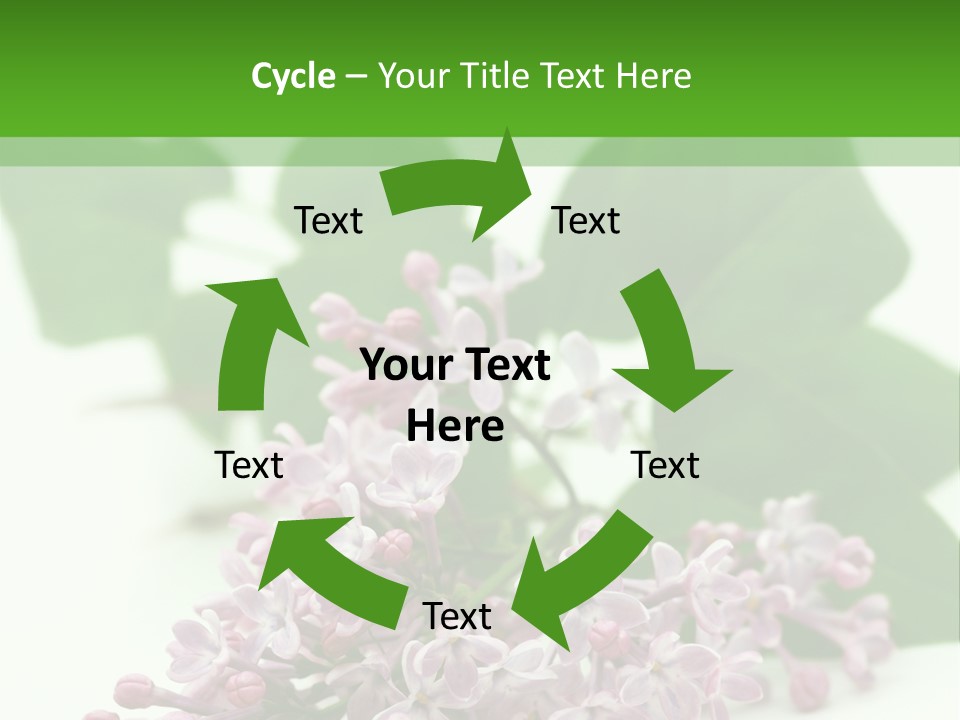 White Fragrant Transparent PowerPoint Template