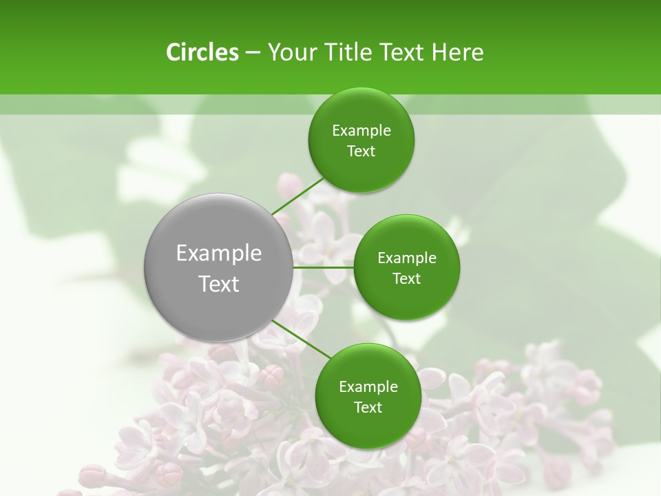 White Fragrant Transparent PowerPoint Template