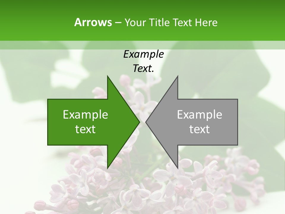 White Fragrant Transparent PowerPoint Template