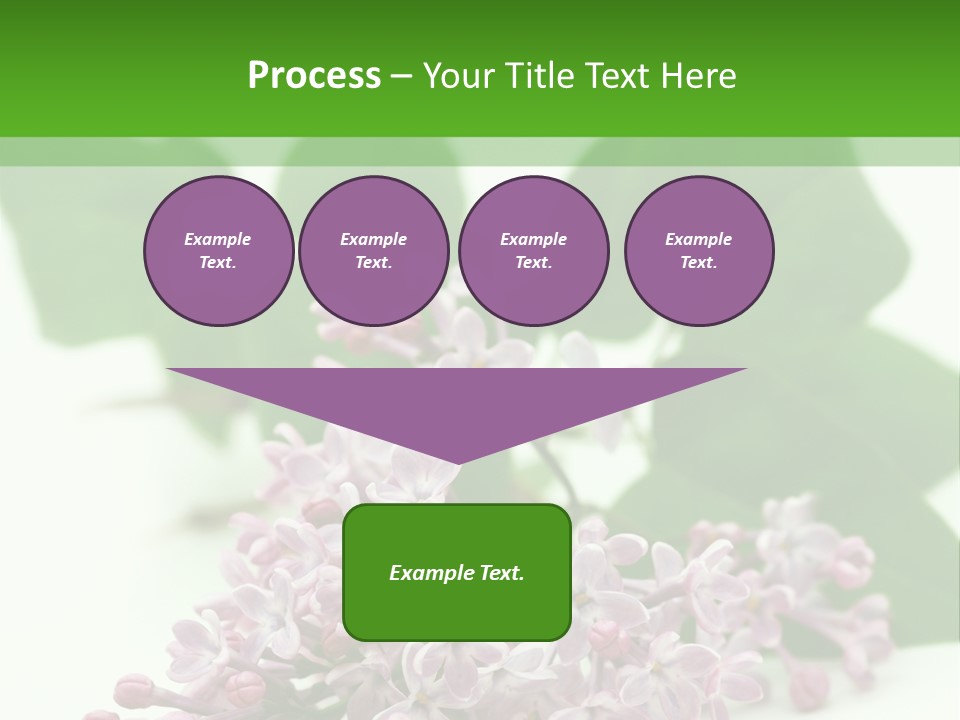 White Fragrant Transparent PowerPoint Template