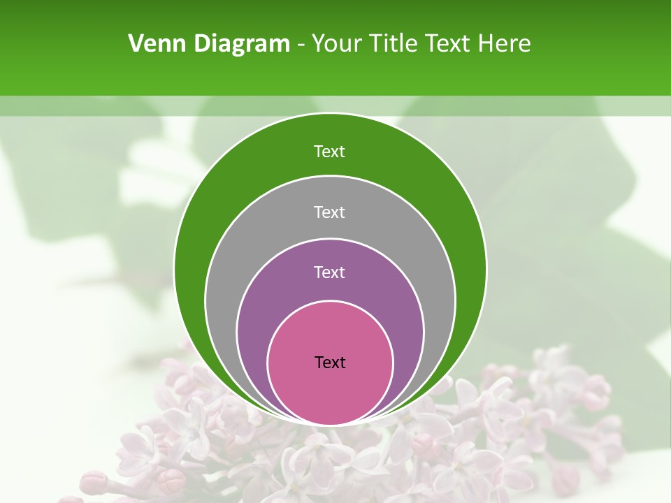 White Fragrant Transparent PowerPoint Template