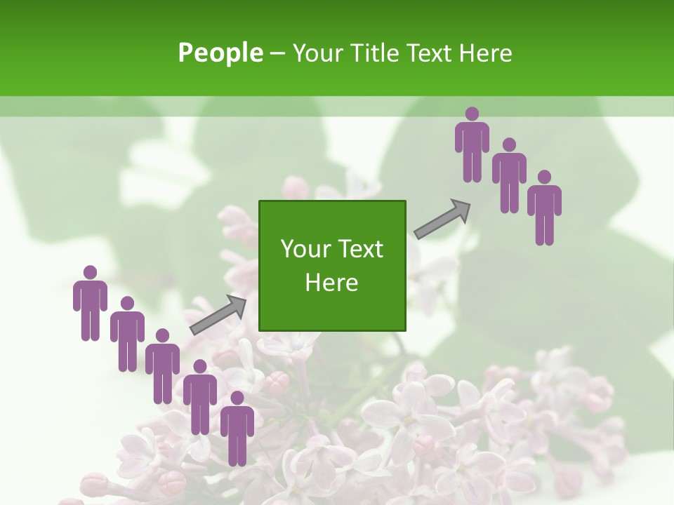 White Fragrant Transparent PowerPoint Template