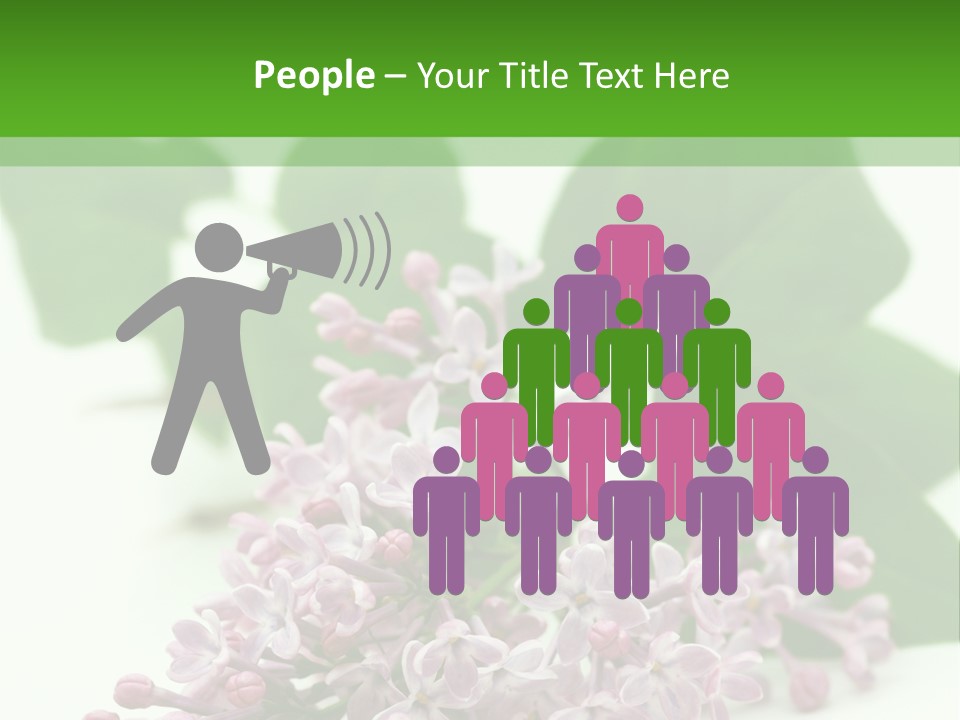 White Fragrant Transparent PowerPoint Template