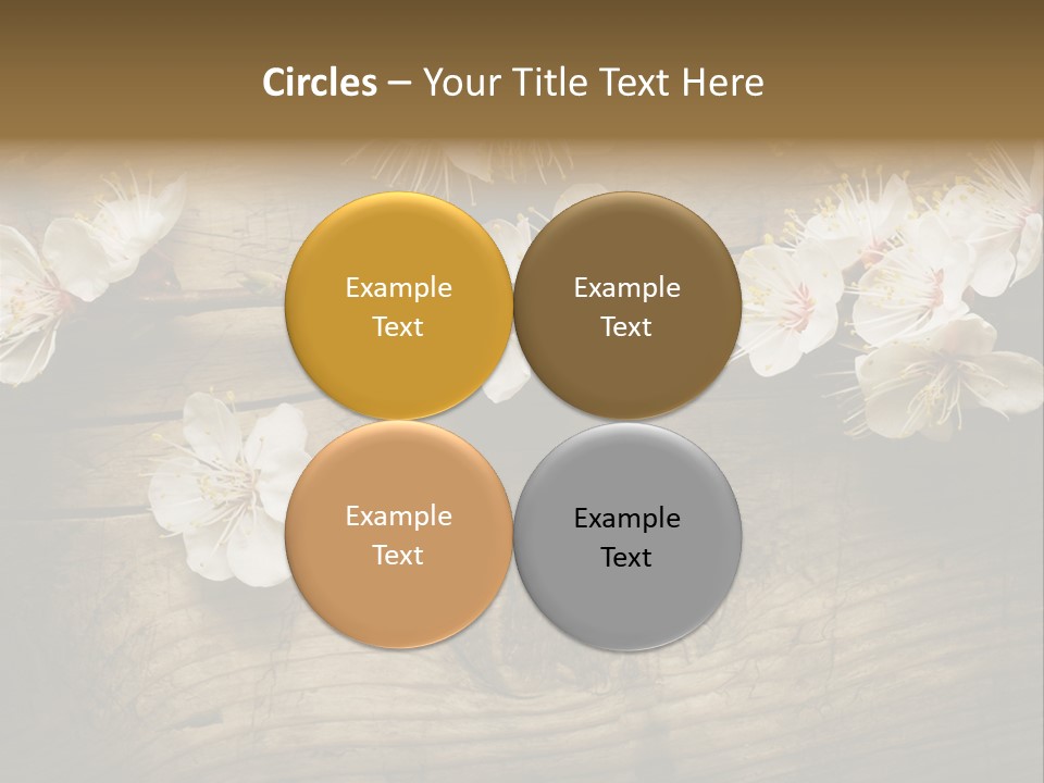 Petal Beautiful Freshness PowerPoint Template