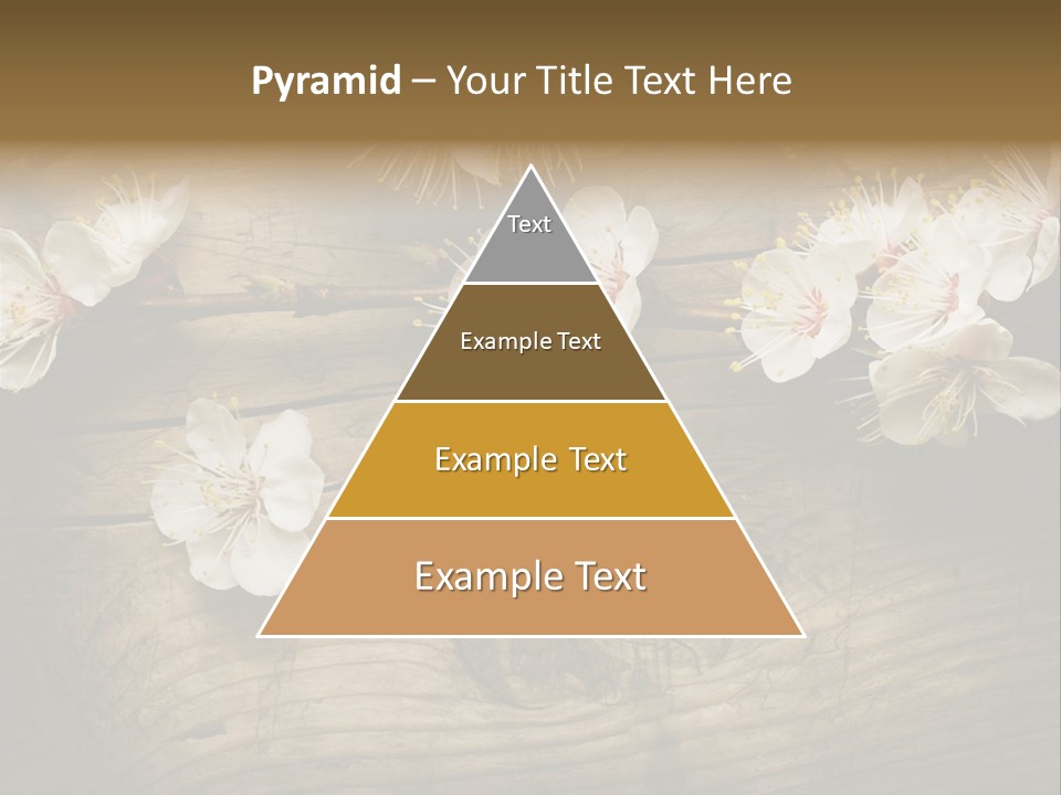 Petal Beautiful Freshness PowerPoint Template