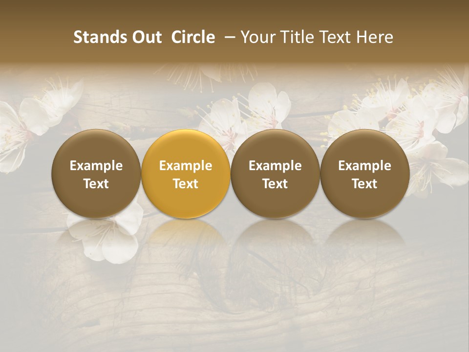 Petal Beautiful Freshness PowerPoint Template