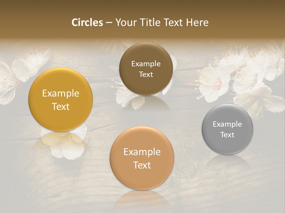 Petal Beautiful Freshness PowerPoint Template